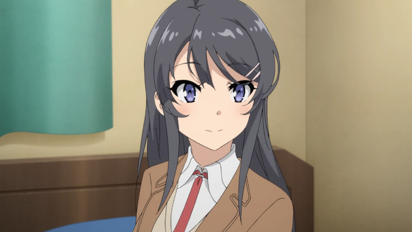 Cover image of Rascal Does Not Dream of Bunny Girl Senpai Picture Drama