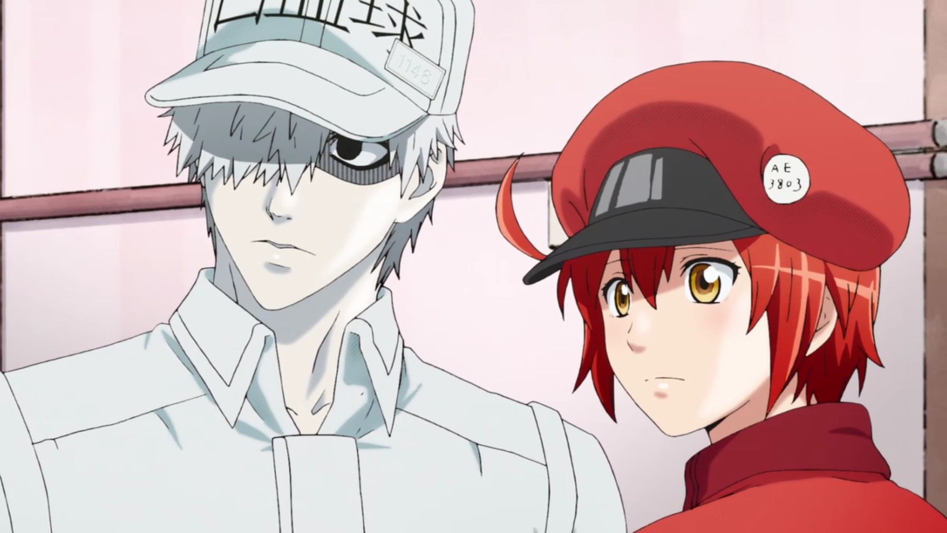 Cover image of Cells at Work! (Dub)