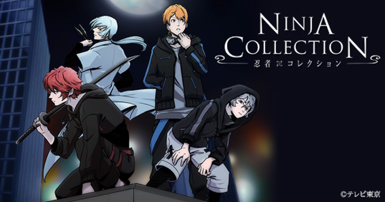 Cover image of Ninja Collection