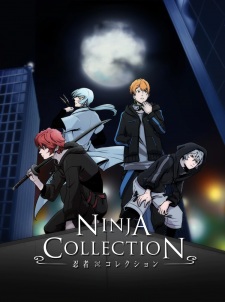 Ninja Collection poster