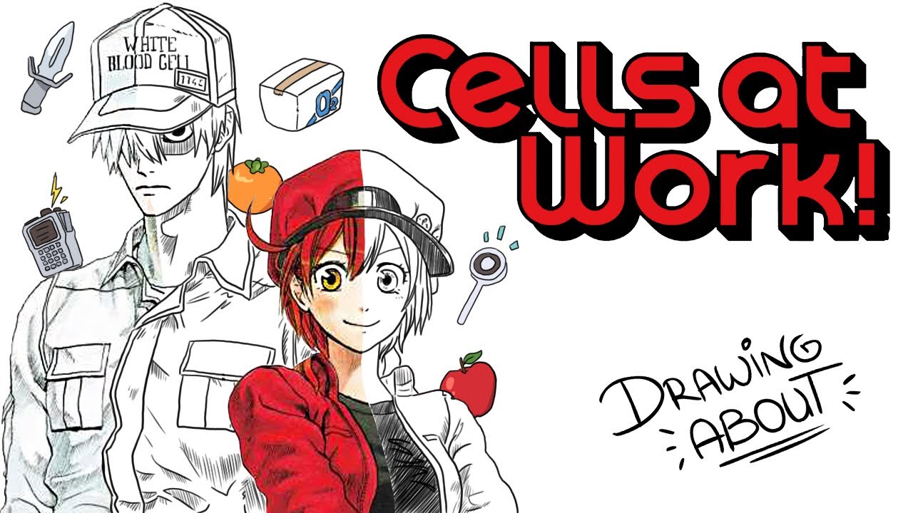 Cover image of Cells at Work!!