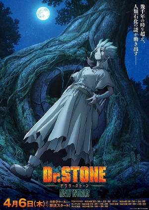 Dr. STONE: NEW WORLD (Dub) Poster