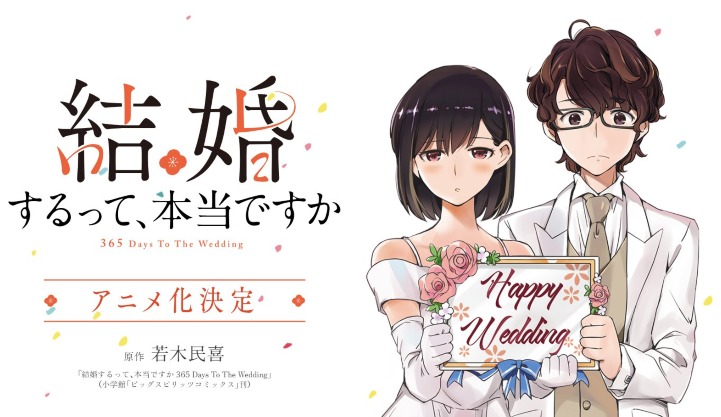 Cover image of 365 Days to the Wedding