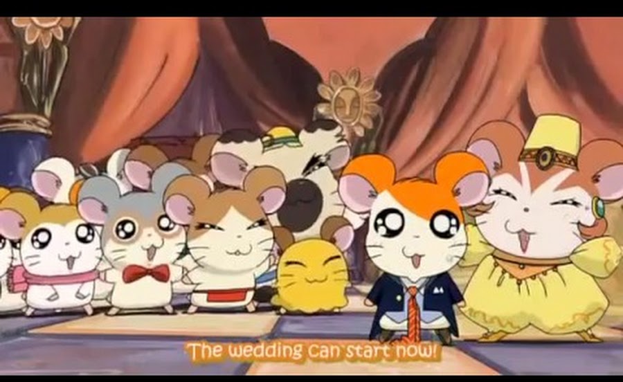 Where To Watch Hamtaro