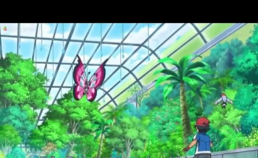 Cover image of Pokemon XY: New Year Special
