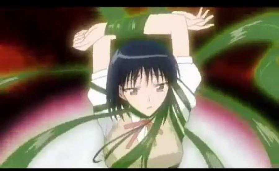 Cover image of School Rumble (Dub)