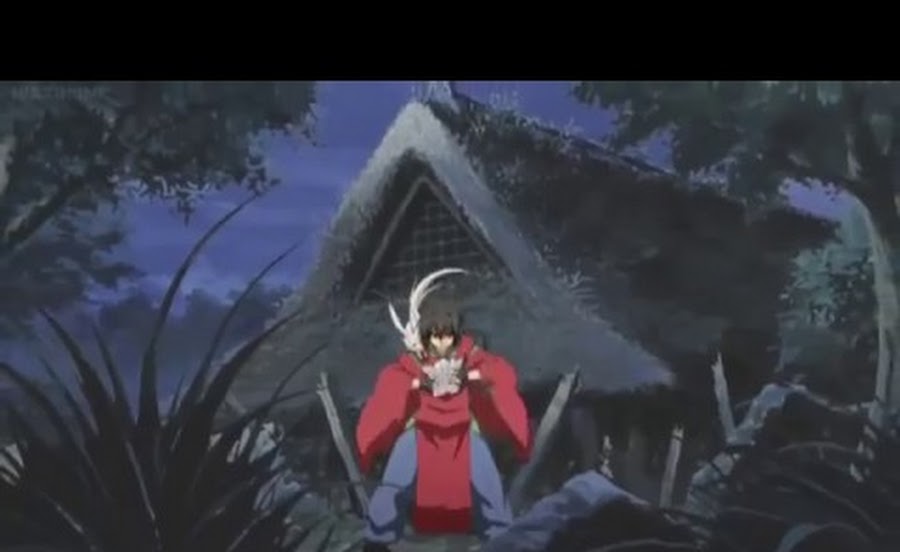 Cover image of The Young Spirit Master (Dub)