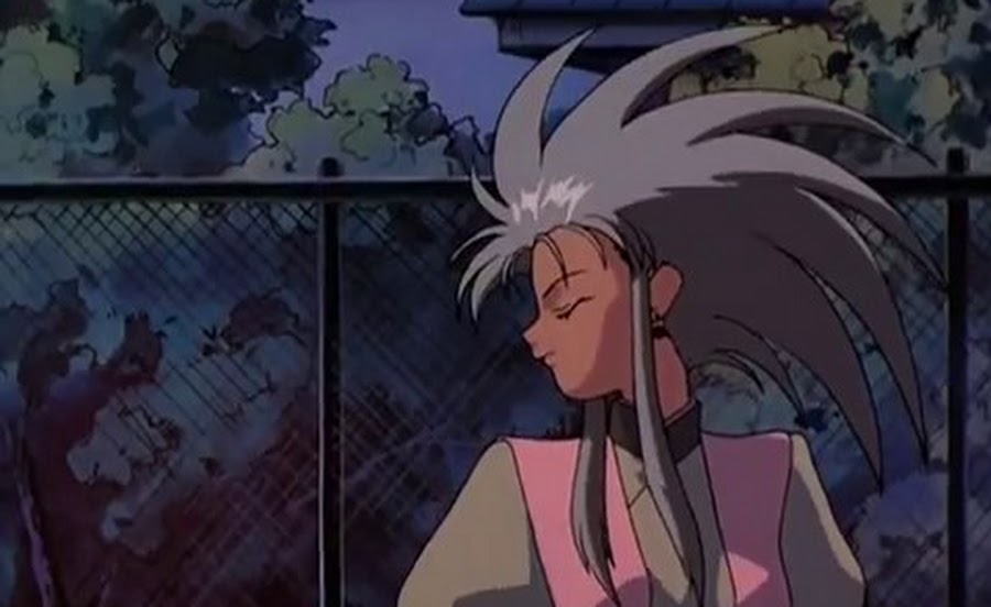 Cover image of No Need for Tenchi!