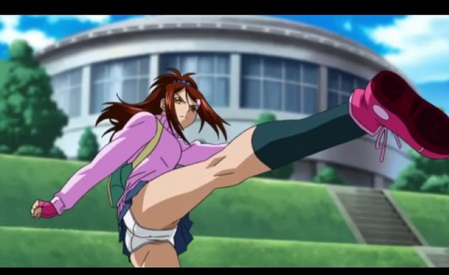 Cover image of Ikkitousen XX (Dub)