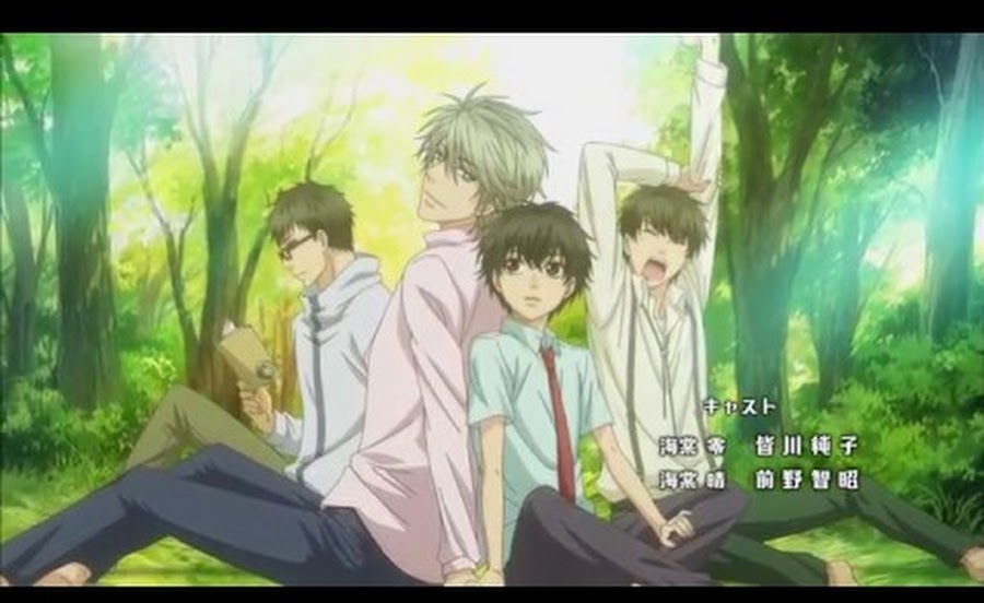 Cover image of Super Lovers