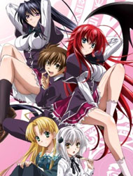 High School DxD Poster
