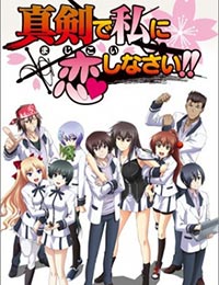 Poster of Majikoi - Oh! Samurai Girls (Dub)