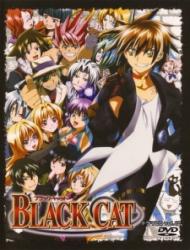 Black Cat poster