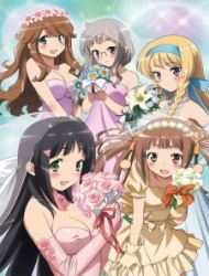 Poster of NAKAIMO - My Little Sister Is Among Them!