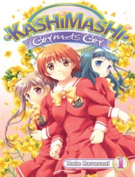 Poster of Kashimashi: Girl Meets Girl